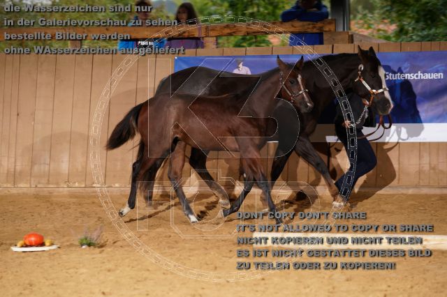 s_K3F05278.JPG